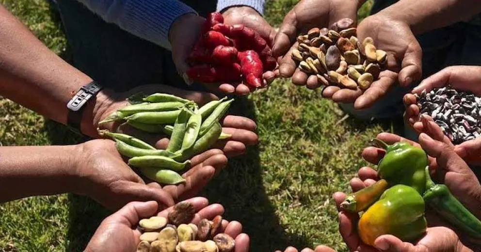 Invitan a Conversatorio de Soberanía Alimentaria