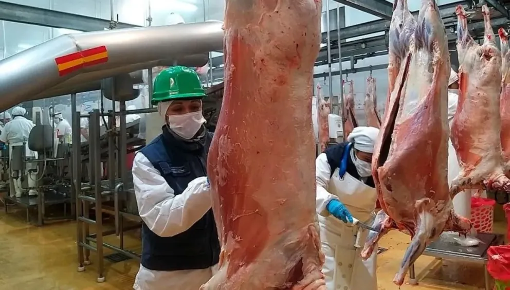 Un cordero le rompió la nariz y ahora será indemnizado
