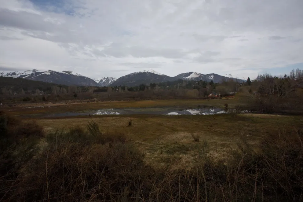 Mallín Bahía Serena: ¿está en riesgo uno de los ecosistemas mas valiosos de Bariloche?