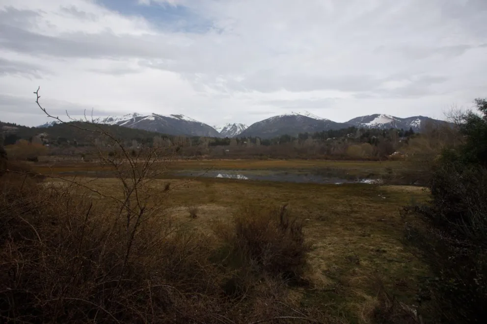 Paraguas protector para el mallín del kilómetro 12 en Bariloche