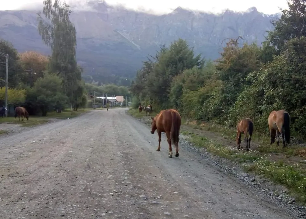 Una situación que preocupa a los vecinos / Foto de archivo 