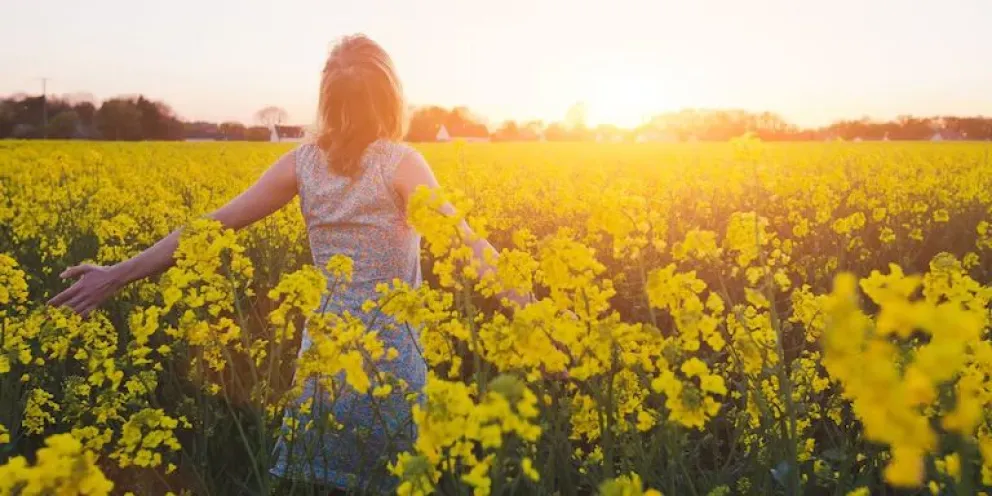 Cómo activar el “Modo primavera” en tu Whatsapp