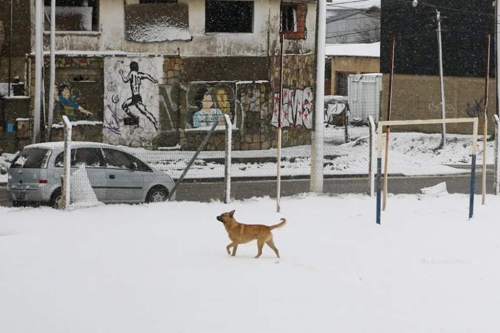 Para abrigarse ante la llegada del invierno / Foto de archivo Facu Pardo 