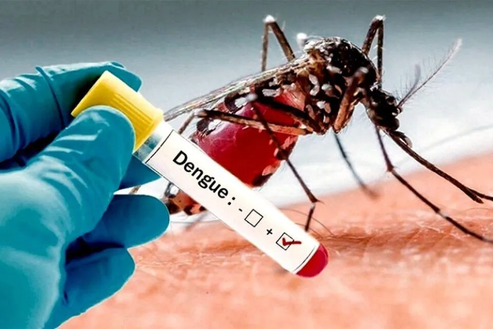 Vacuna contra el dengue: quiénes pueden aplicársela y cuánto cuesta