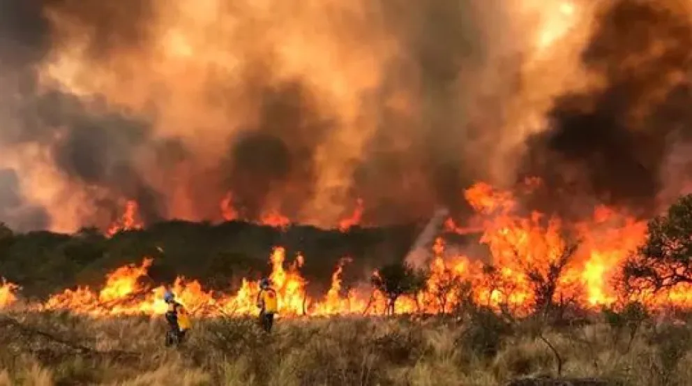Milei difundió una fake news que culpaba a la Cámpora por los incendios y el Gobierno de Córdoba lo desmintió