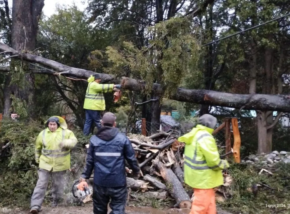 Delegaciones municipales atendió emergencias por el clima