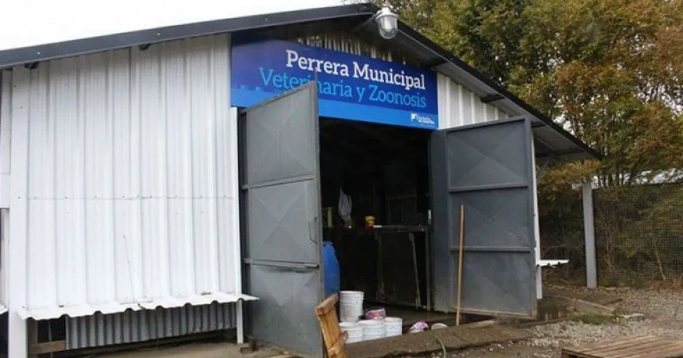 Qué dijo la Municipalidad sobre las denuncias de maltrato animal