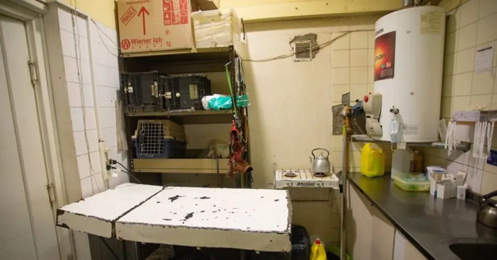 Ante las denuncias por crueldad animal, designaron nueva veterinaria cirujana en Zoonosis