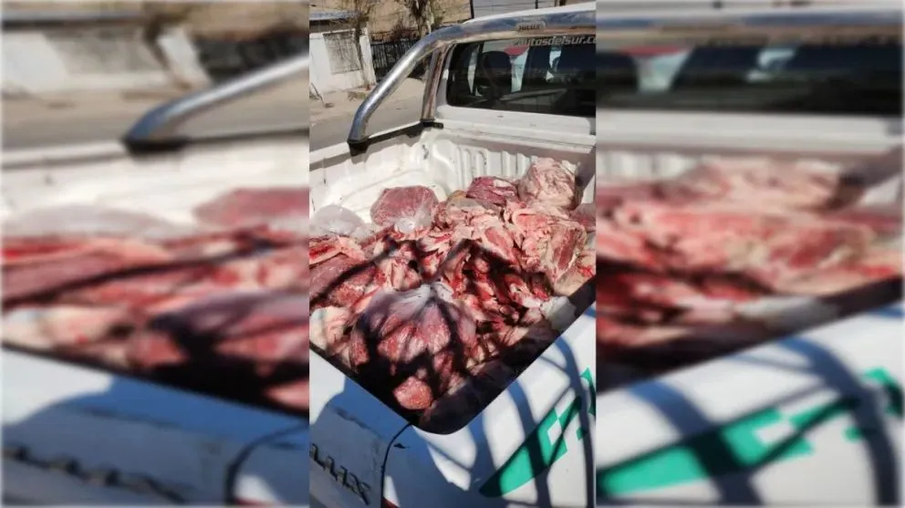 Decomisaron 800 kilos de carne en mal estado en comercios del Alto Valle