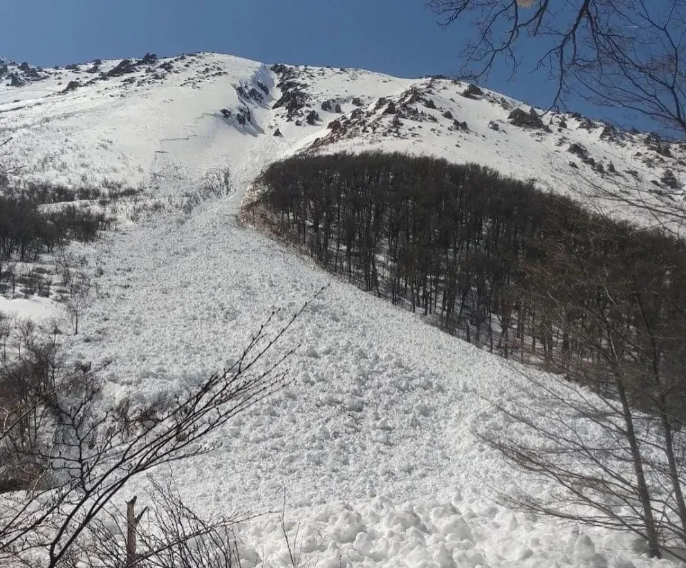 Reportan avalanchas masivas y "gigantescas" en cerros de Bariloche