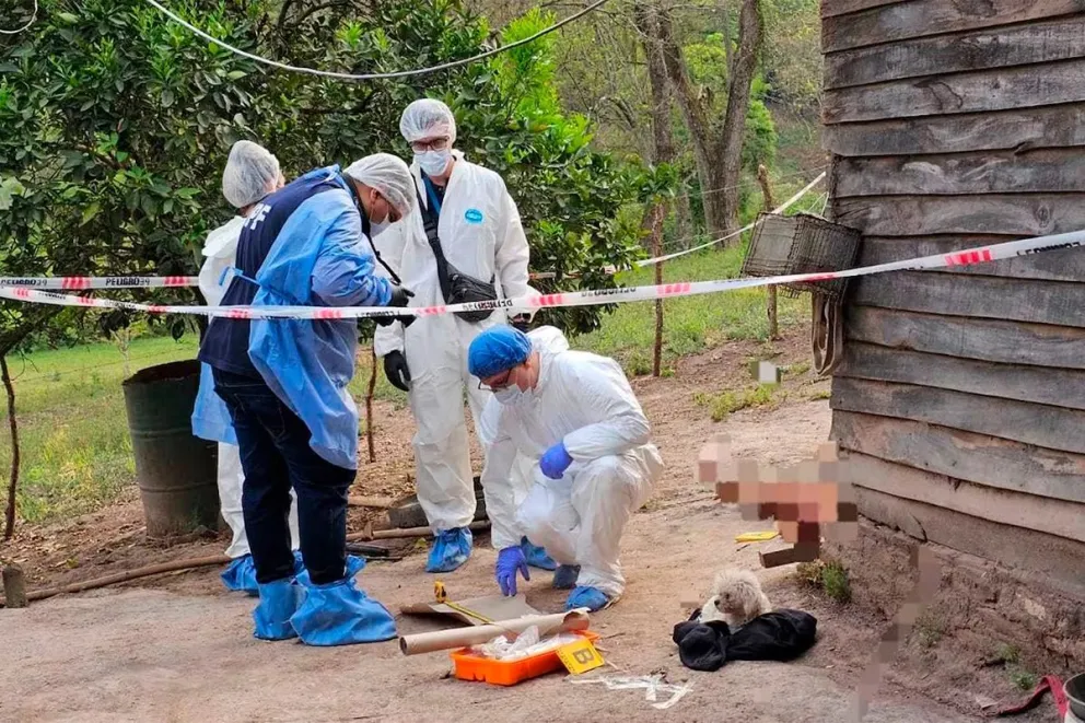 Horror: asesinó a su pareja, pidió perdón a sus hijos por Whatsapp y se quitó la vida