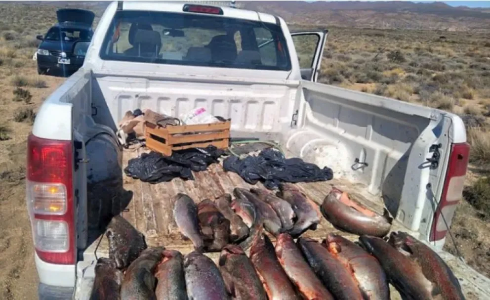 Incautan 98 truchas en distintos operativos por pesca furtiva