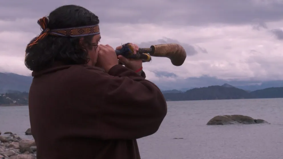 Si están aquí antes que las fronteras, “¿por qué se habla de indígenas venidos de Chile?”