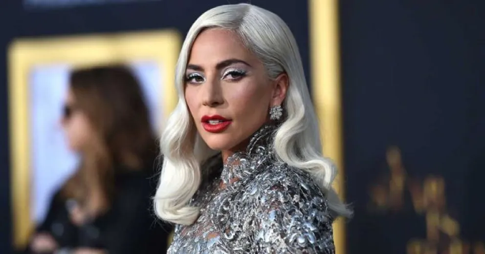 Lady Gaga se declaró fanático de un vino argentino: ¿cuánto cuesta y dónde se consigue?