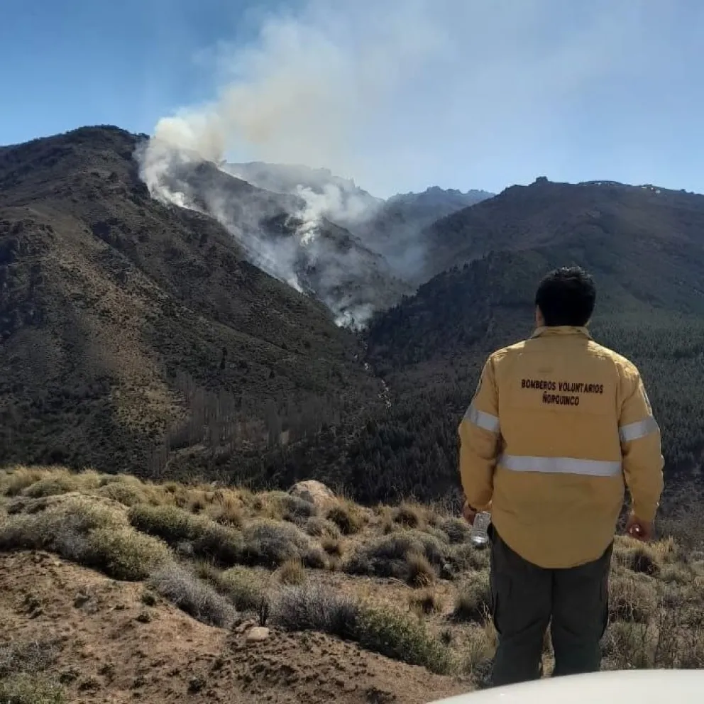 Bomberos y SPLIF continúan combatiendo un incendio forestal entre Arroyo Las Minas y el río Chubut