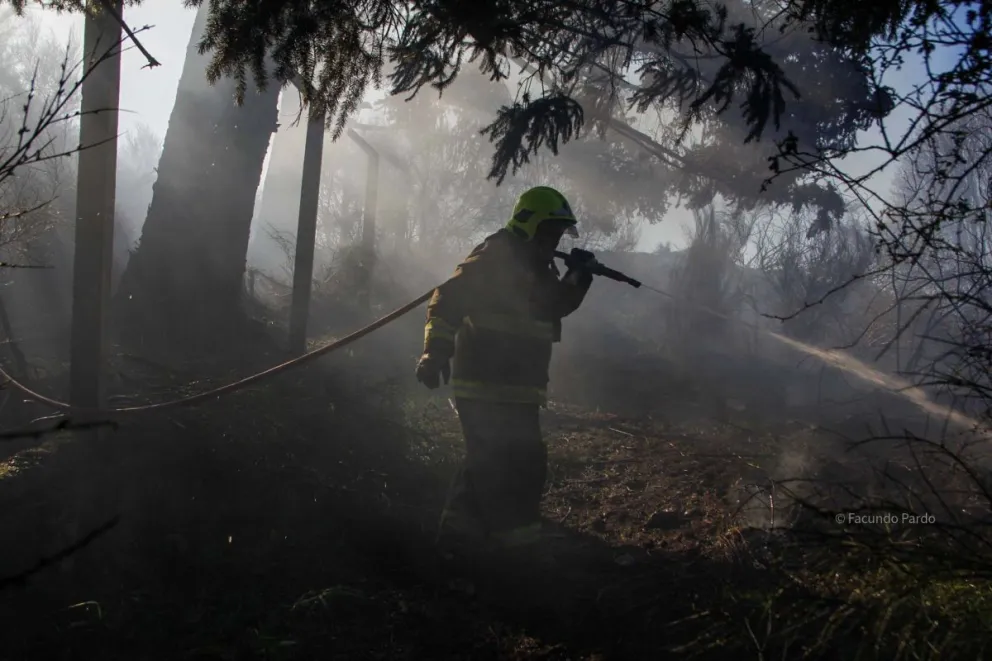 Las llamas se desataron en una zona de mucha vegetación, cerca de la planta de AlunCo (fotos: Facundo Pardo)