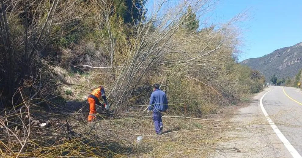 El personal de Vialidad se encuentra trabajando en Ruta 40.