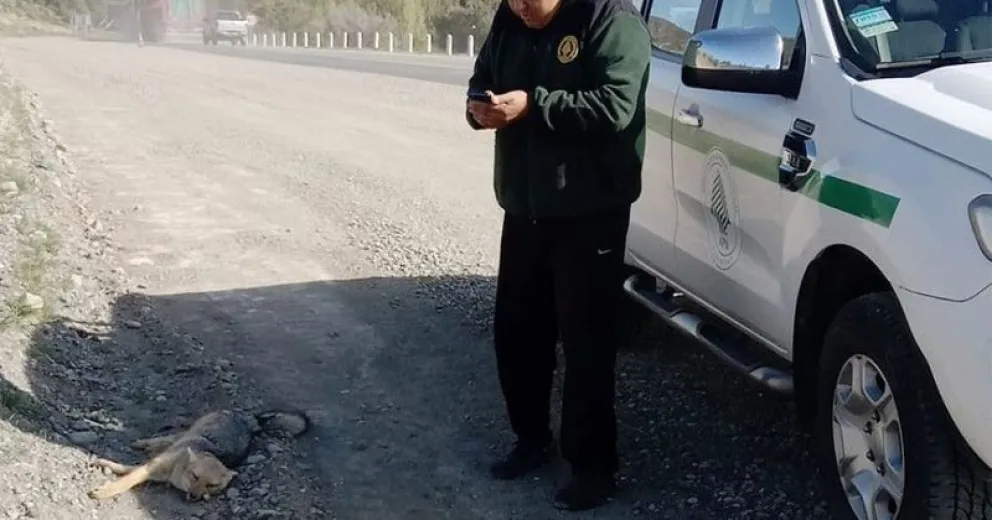 No se trata del primer caso. 