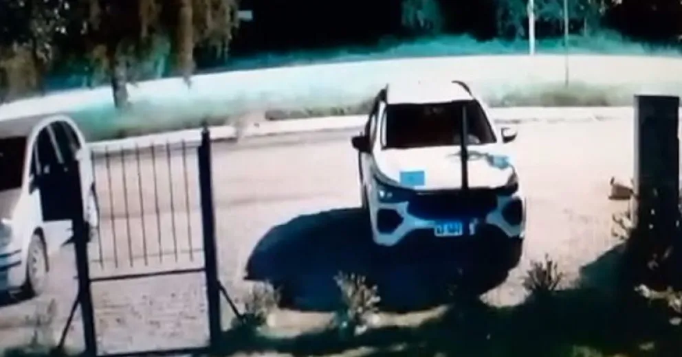 Al asustarse volvió por donde había aparecido. 
