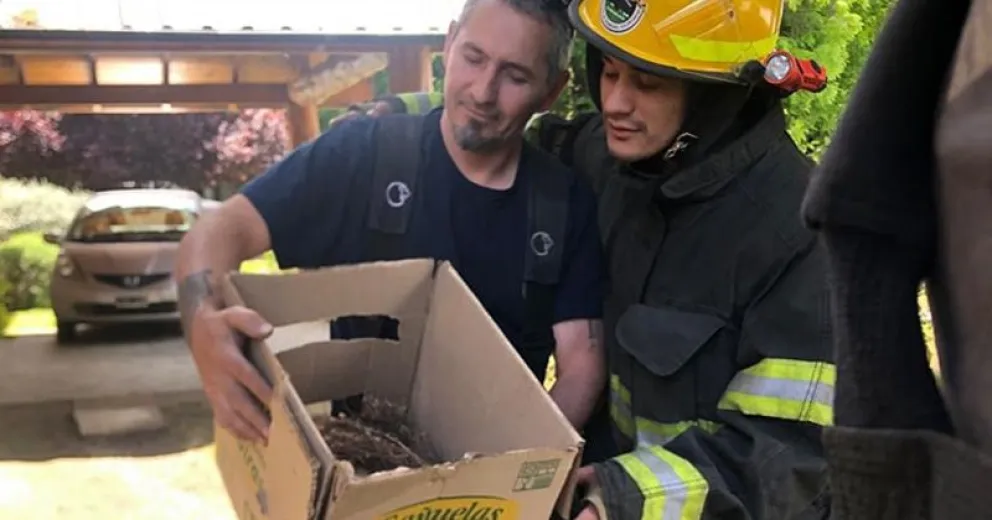 Los bomberos del rescate.