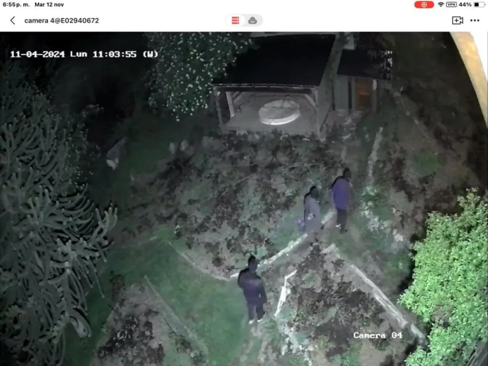 Los ladrones ingresando sigilosamente por un patio trasero. 