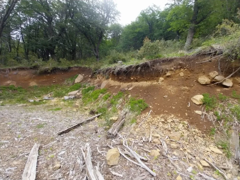 El ecologista advirtió sobre la contaminación y dijo que no debería construirse en ese sitio (foto: gentileza de Beletzky).