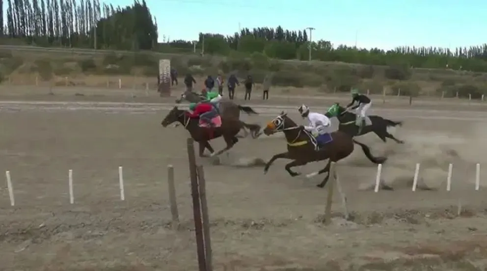 En Bariloche también murió un caballo durante una carrera. 