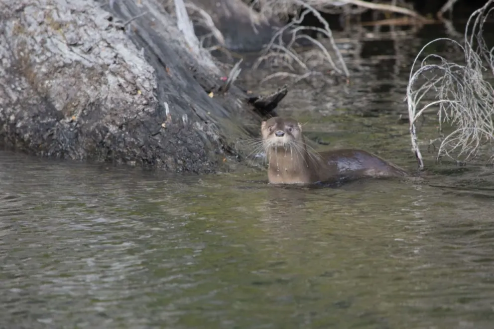 La convocatoria estará abierta hasta el 19 de diciembre / Foto de archivo 