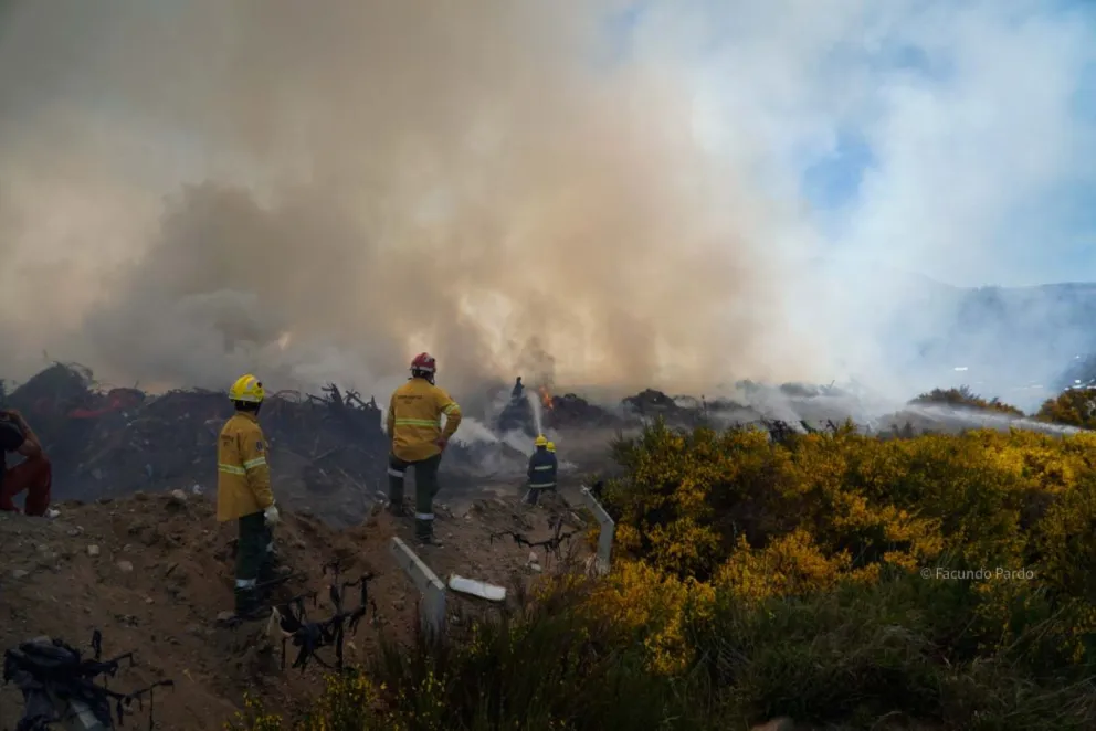 Las llamas habrían comenzado en la zona de residuos forestales (video y fotos: Facundo pardo)