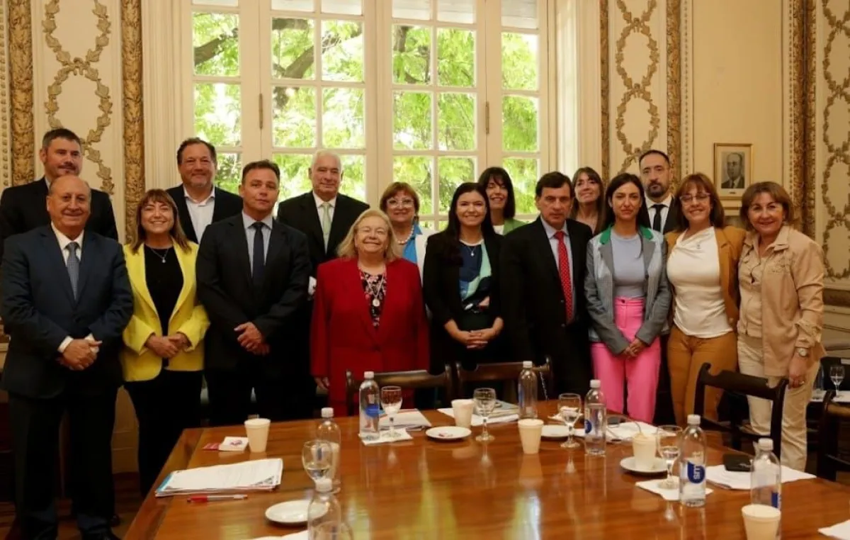 El defensor general rionegrino coordinará el Consejo Federal de ...