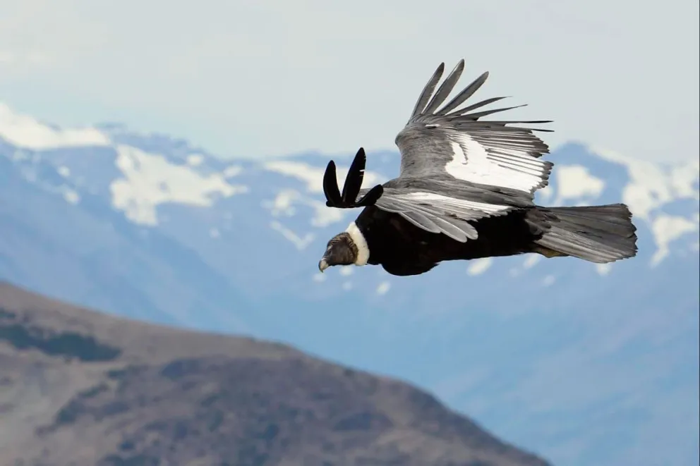 Tras meses de recuperación, Kosten volvió a recorrer los cielos. 