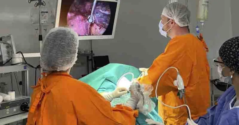 La misma fue llevada adelante en el hospital Ramón Carrillo de San Martín de los Andes.
