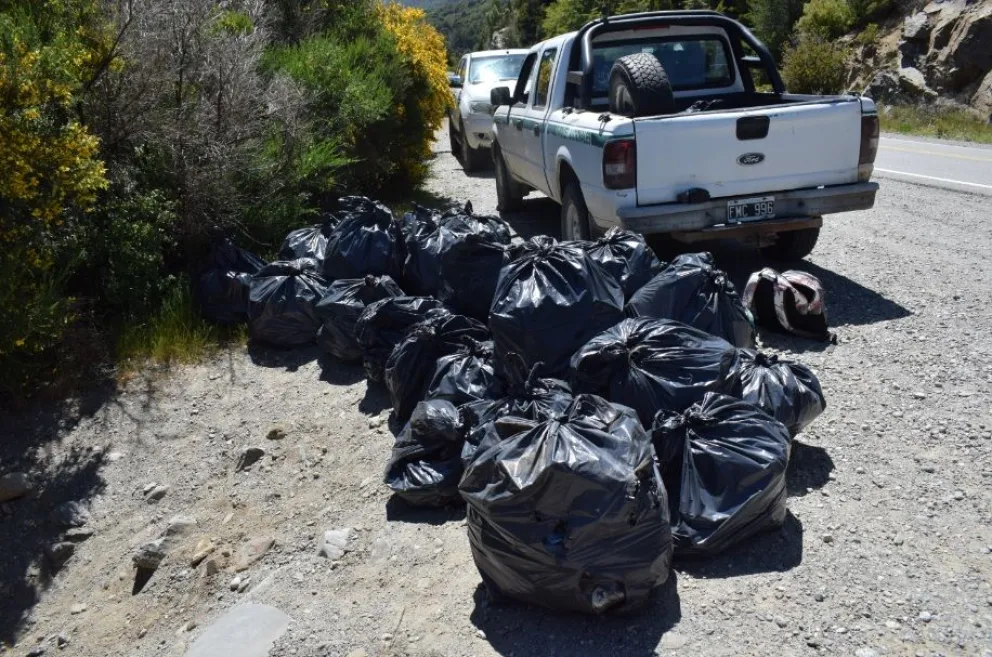 Toda la basura juntada fue llevada al vertedero municipal. 