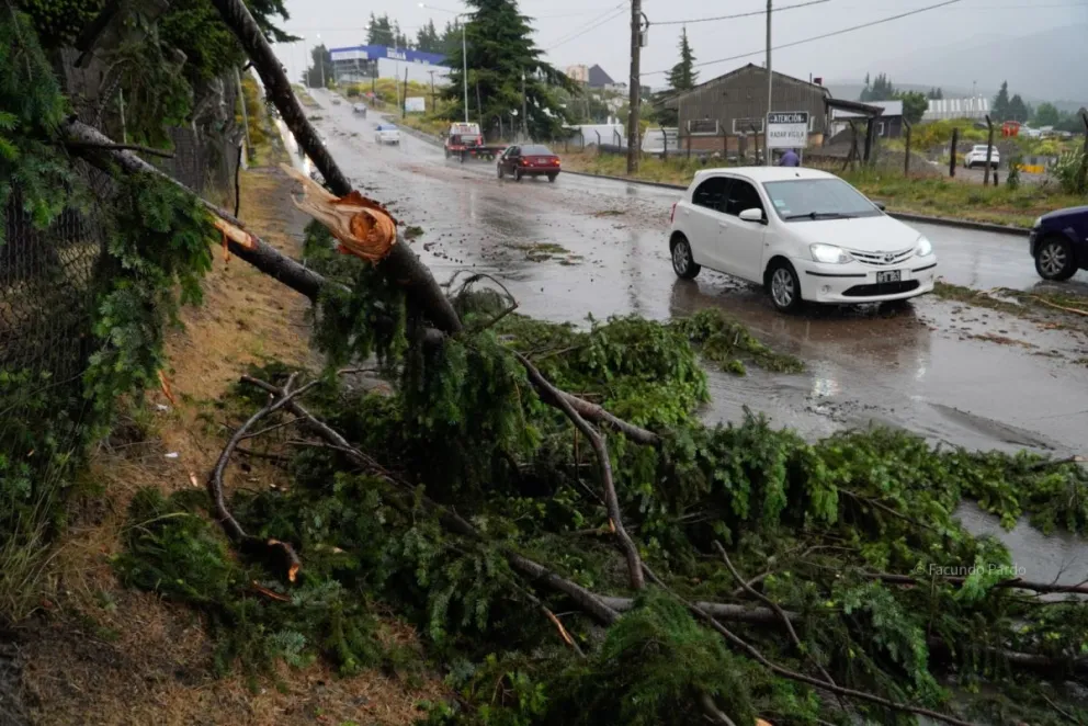 Caídas de ramas y árboles, calles anegadas, cortes de luz y más. El temporal duró dos horas pero se hizo sentir con fuerza. (Fotos: Facundo Pardo)