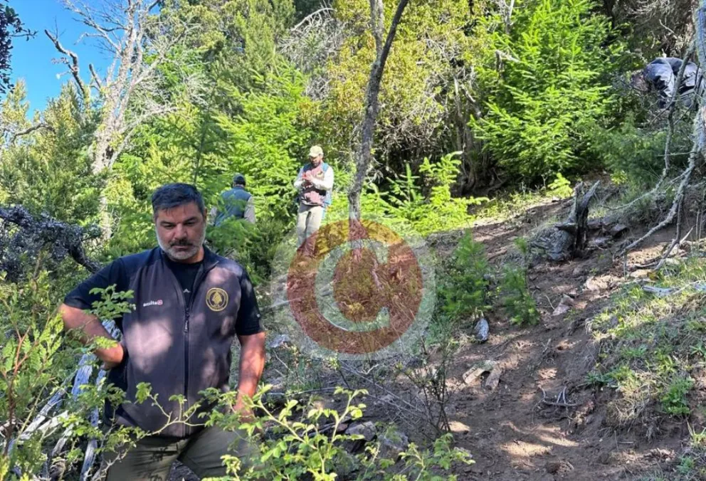 El menor fue encontrado en esta zona, cuando lo escuchó llorar un operario del Parque Nacional Nahuel Huapi (fotos: gentileza Parque Nacional Nahuel Huapi) 