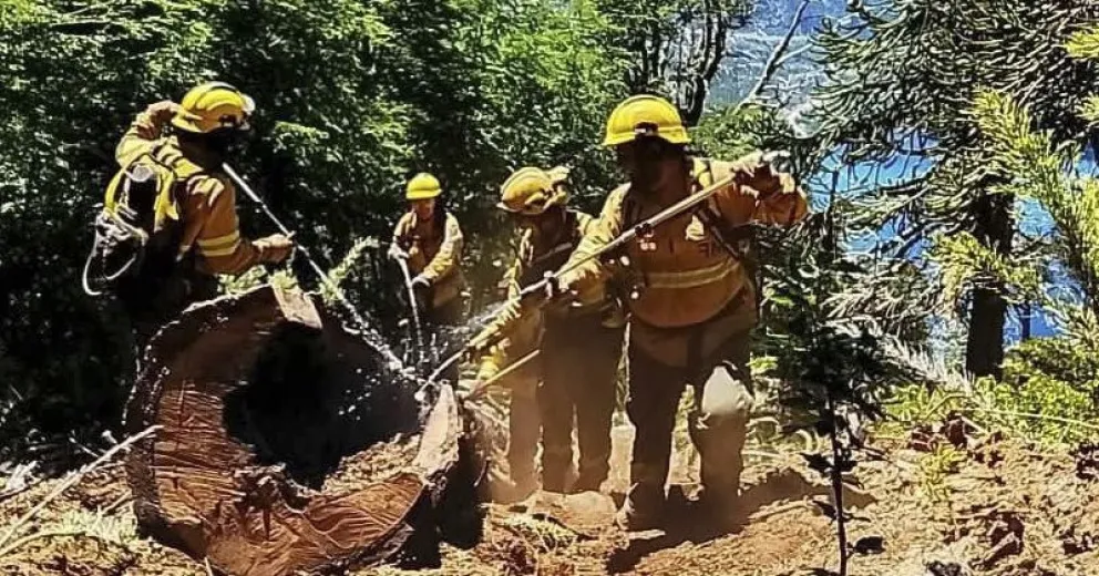 Luego de una ardua tarea, lograron llegar a la extinción de las llamas.