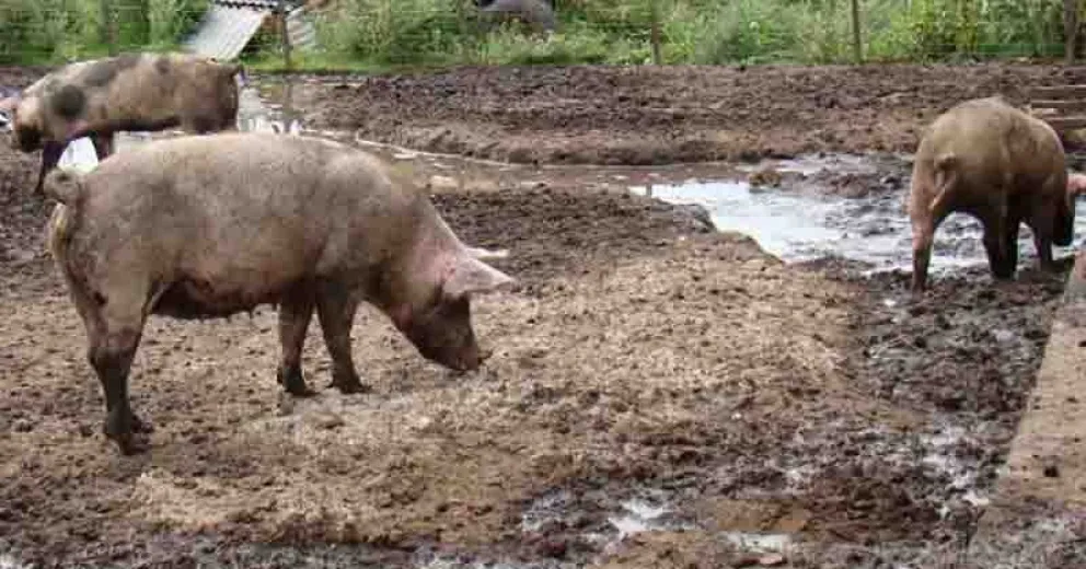 Se incrementan los casos.