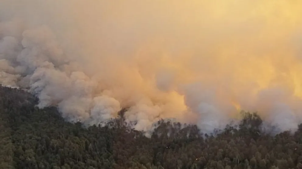 El fuego sigue avanzando, lastimosamente. 