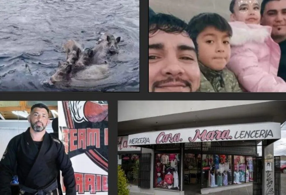 Curiosidades, alegrías, tristezas y nostalgia en las noticias de este 2024 de El Cordillerano.