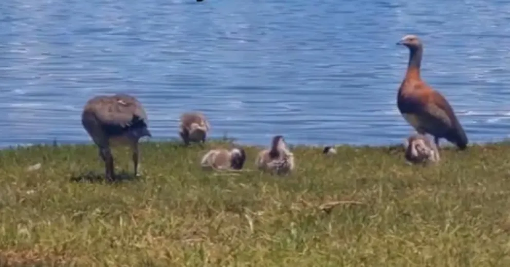 La naturaleza regala momentos inolvidables, hay que contemplarlos con respeto.