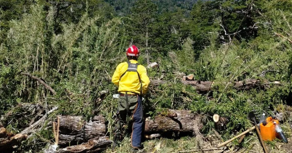 Rige para este lunes la prohibición de hacer fuego en lugares públicos y privados.