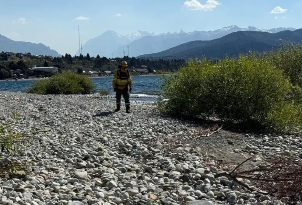 Las tareas se enfocaron hoy en la costa del Nahuel Huapi cercana a la planta depuradora. (Fotos: Instagram SPLIF Río Negro)