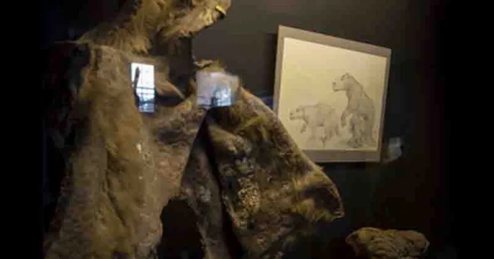 La historia narra los intentos de caza del plesiosaurio.