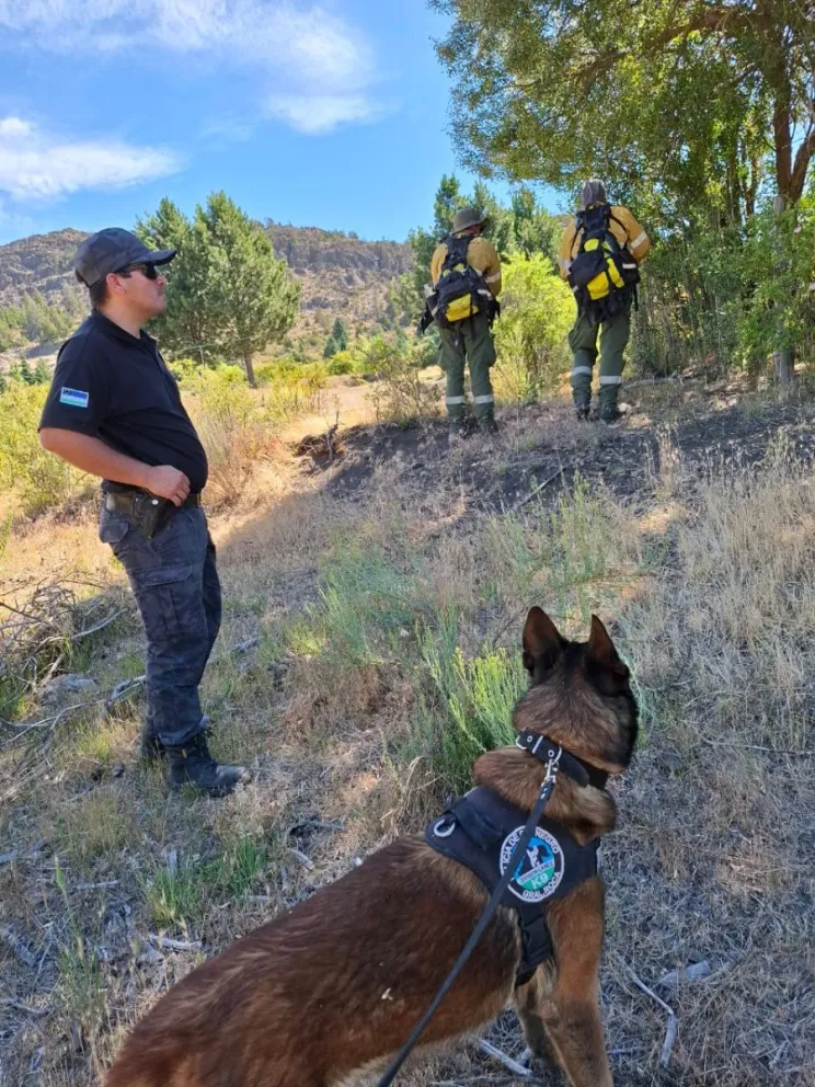 Un suceso que preocupa a toda la sociedad barilochense. 