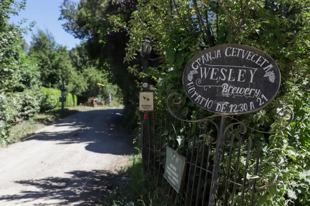 El siniestro se habría originado por una chispa en una máquina, durante el mantenimiento del terreno. 