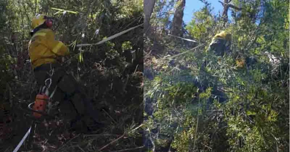 Llevan dos semanas en el combate del fuego.