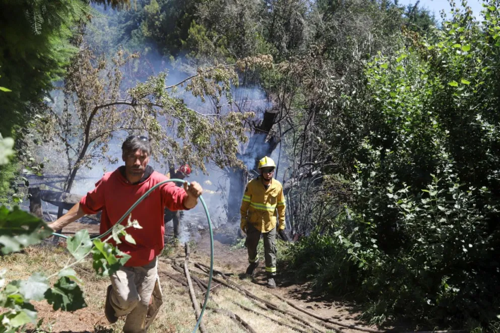 Susto por un incendio en una zona boscosa del barrio Melipal (fotos; Eugenia Neme) 