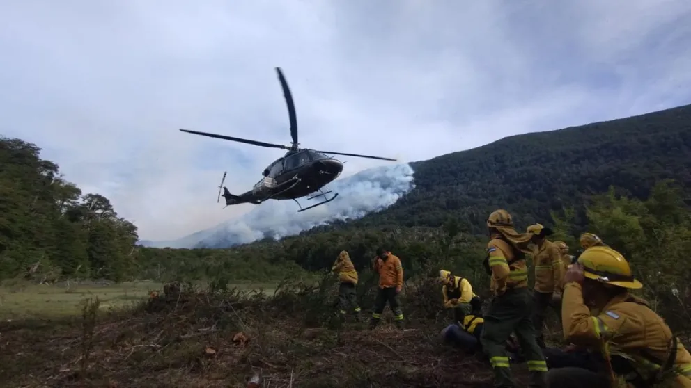 Temen por su animales y hogares.