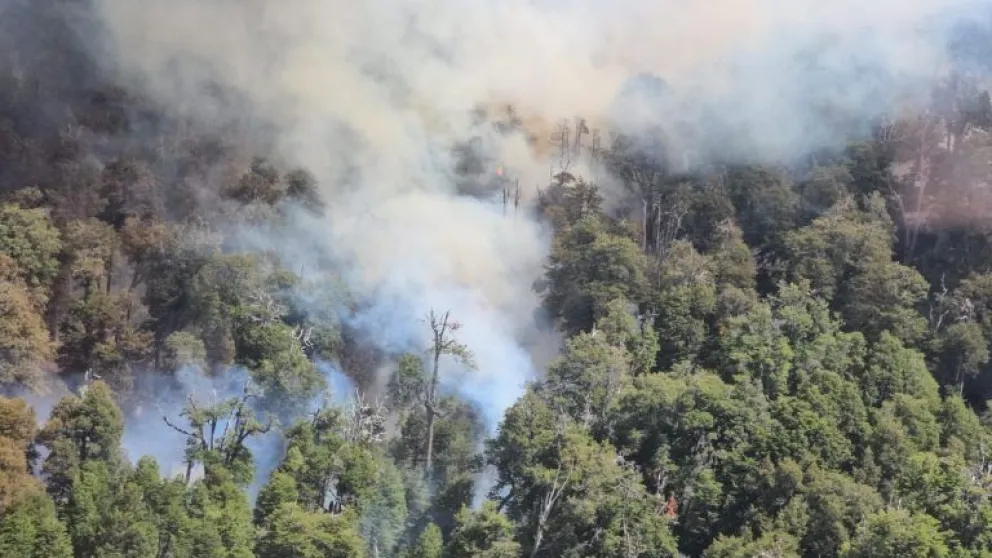 El coordinador de la campaña de bosques de Greenpeace brindó un panorama sobre la situación en la región respecto a los incendios.