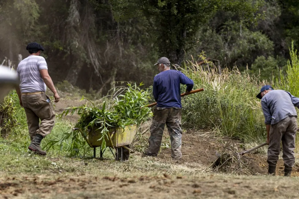 Pobladores de la zona de Cascada Los Alerces, realizan trabajos preventivos en las áreas cercanas a las viviendas (Fotos: Eugenia Neme) 